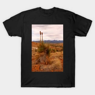 The Flinders Ranges, Outback Australia T-Shirt